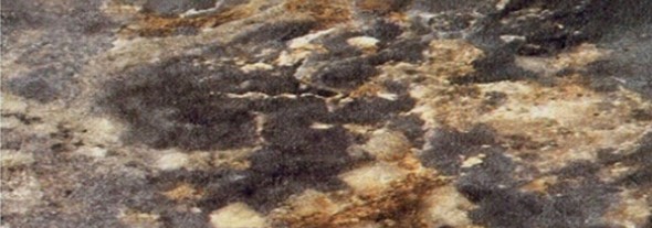 Кухонная столешница 100*60 см Королевский опал темный в Саратове - изображение